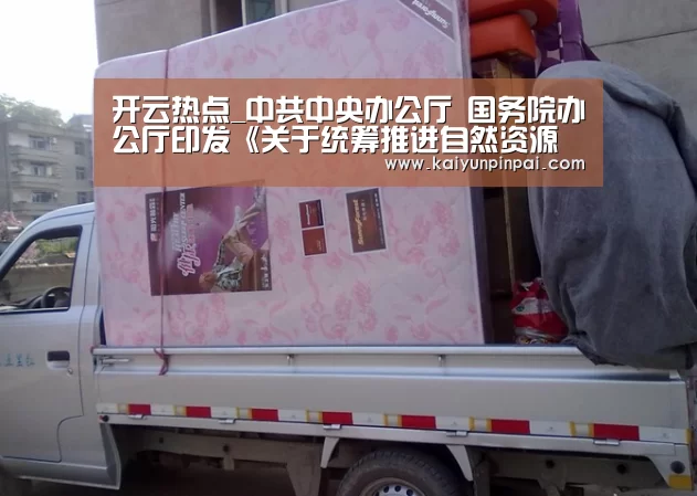 开云热点_中共中央办公厅 国务院办公厅印发《关于统筹推进自然资源资产产权制度改革的指导意见》(图1) 开云网站