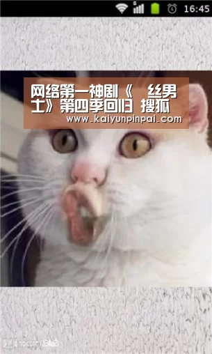 网络第一神剧《屌丝男士》第四季回归 搜狐视频升级喜剧品牌统治力_开云网站(图2) 开云品牌