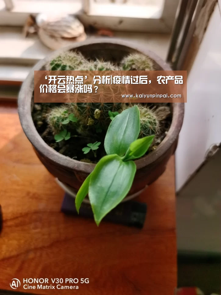 ‘开云热点’分析|疫情过后,农产品价格会暴涨吗?(图3) 开云网站