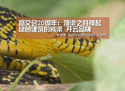 高交会20周年:顶梁之柱撑起绿色建筑的脊梁_开云品牌(图3) 开云推荐