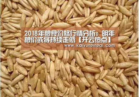 2018年粮食价格行情分析:明年粮价或将持续走低【开云热点】(图2) 开云热点
