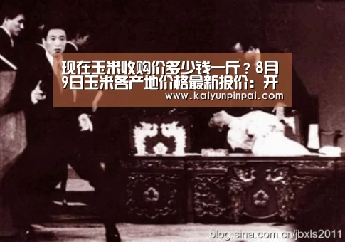 现在玉米收购价多少钱一斤?8月9日玉米各产地价格最新报价:开云品牌(图2) 开云推荐