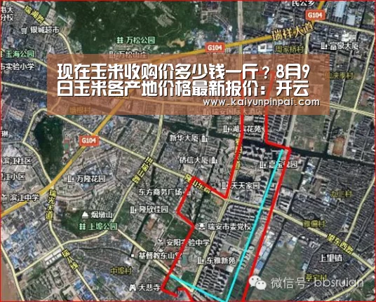 现在玉米收购价多少钱一斤?8月9日玉米各产地价格最新报价:开云品牌(图1) 开云热点
