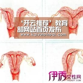 开云网站