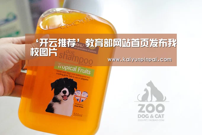 开云热点