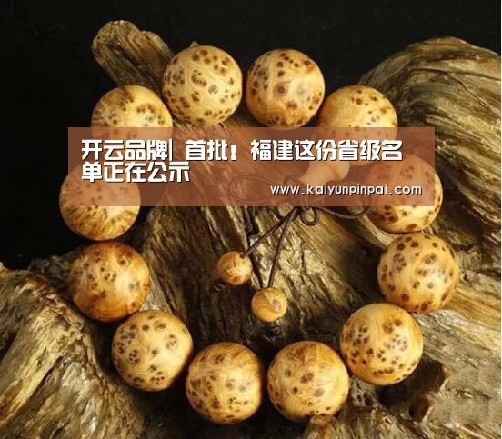开云热点