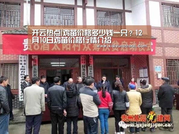 开云热点|鸡苗价格多少钱一只?12月10日鸡苗价格行情介绍(图1) 开云推荐