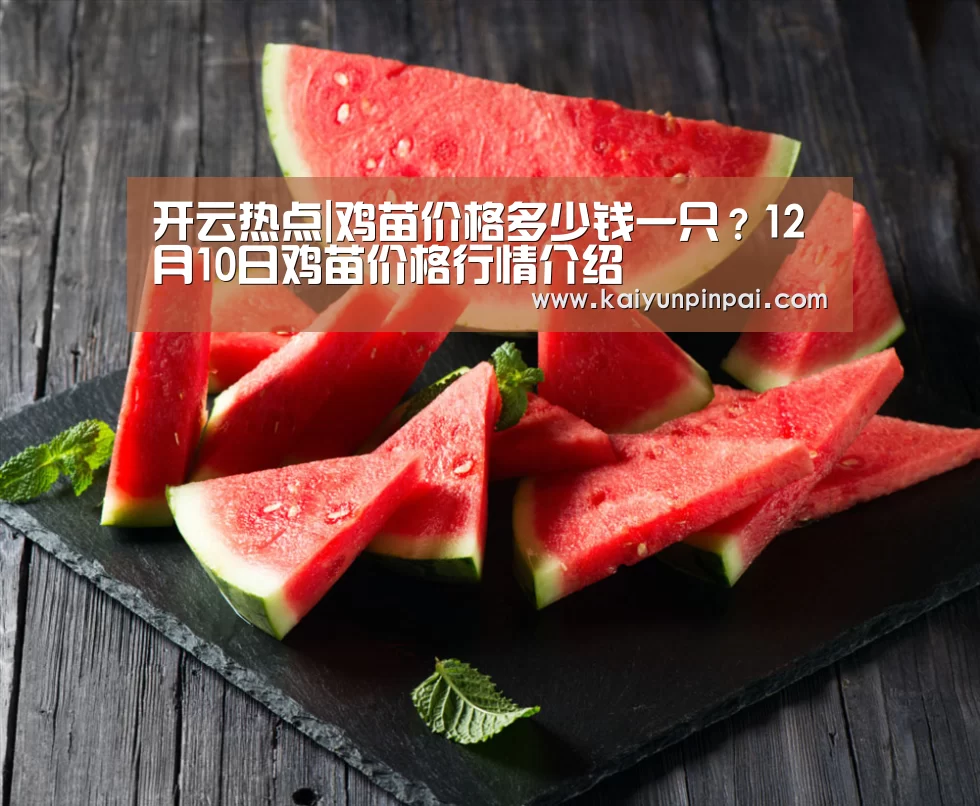 开云热点|鸡苗价格多少钱一只?12月10日鸡苗价格行情介绍(图3) 开云热点
