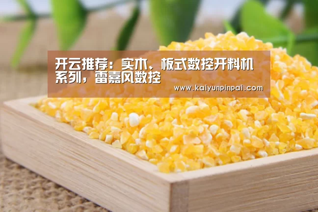 开云推荐:实木、板式数控开料机系列,雷嘉风数控(图2) 开云热点