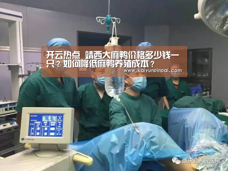 开云热点_靖西大麻鸭价格多少钱一只?如何降低麻鸭养殖成本?(图1) 开云品牌