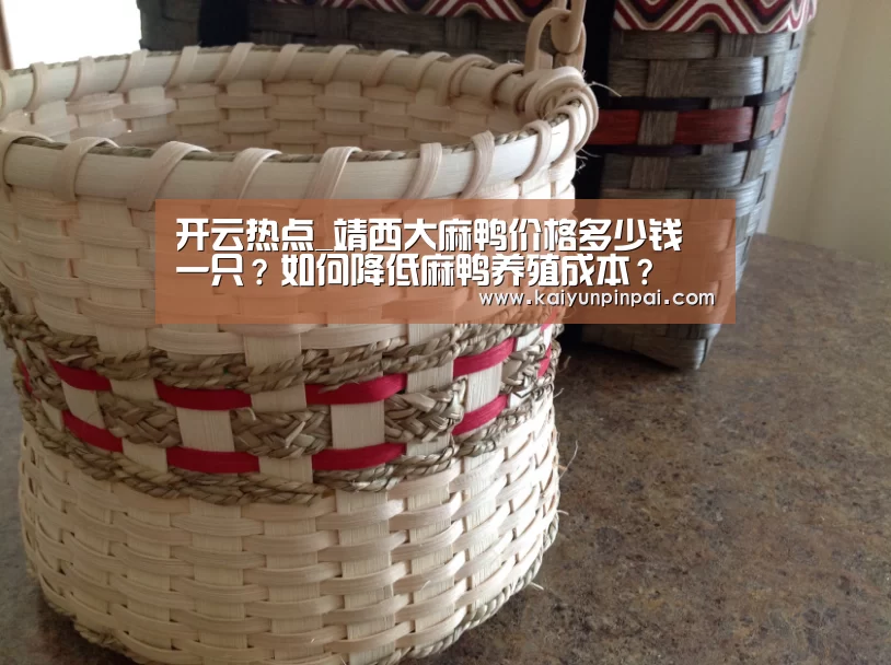 开云热点_靖西大麻鸭价格多少钱一只?如何降低麻鸭养殖成本?(图2) 开云品牌