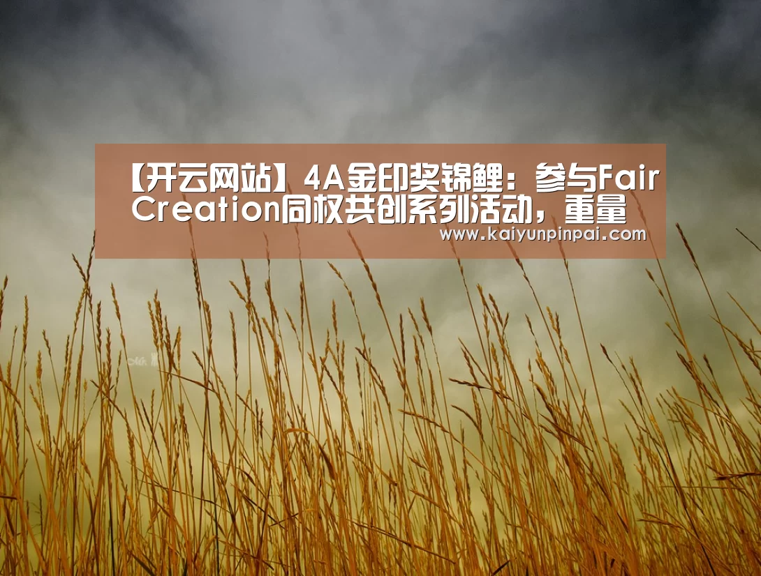 开云热点