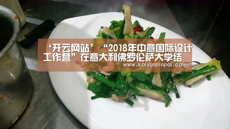 ‘开云网站’“2018年中意国际设计工作营”在意大利佛罗伦萨大学结营(图3) 开云网站