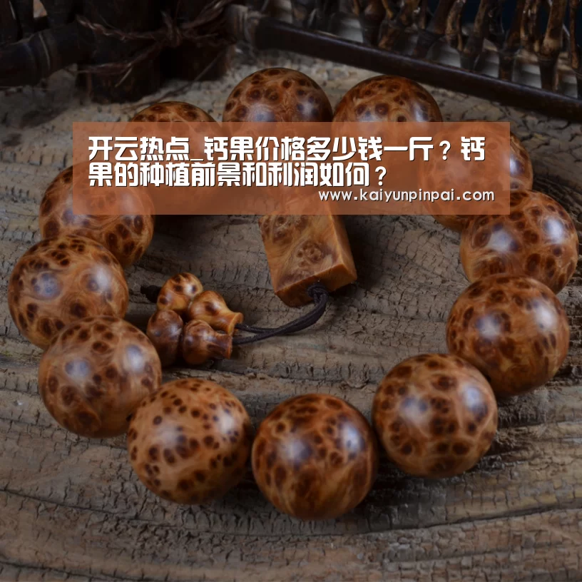 开云热点