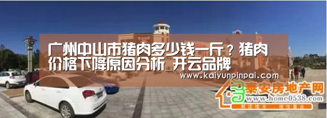 开云网站