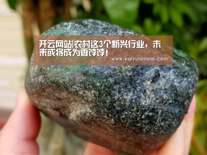 开云网站|农村这3个新兴行业,未来或将成为香饽饽!(图1) 开云网站