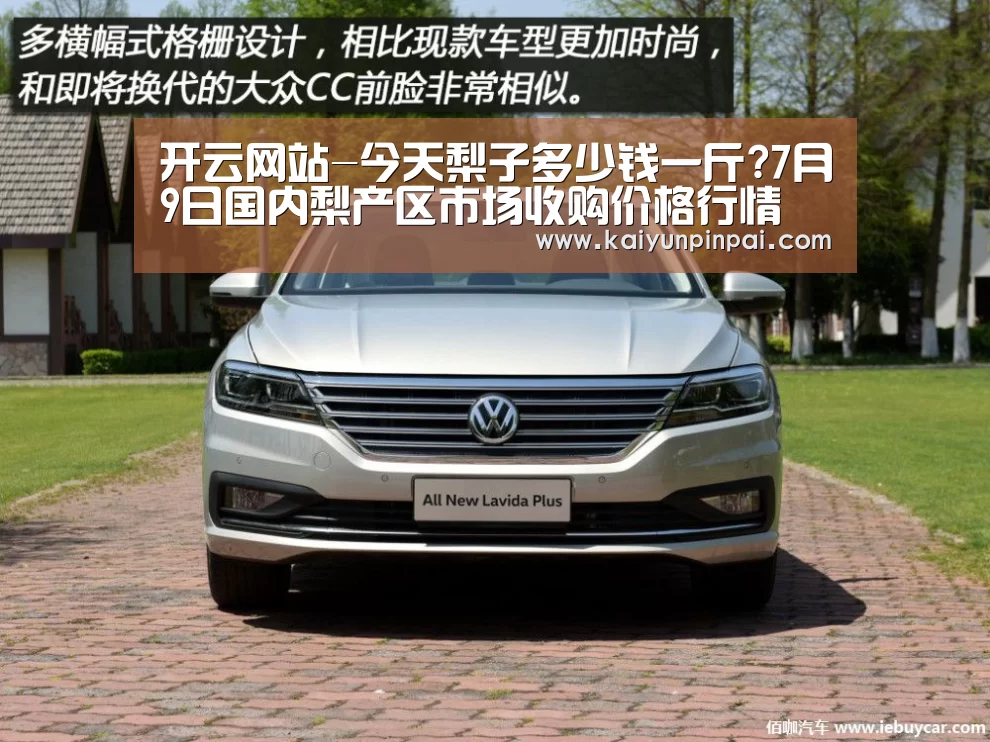 开云网站-今天梨子多少钱一斤?7月9日国内梨产区市场收购价格行情(图3) 开云品牌