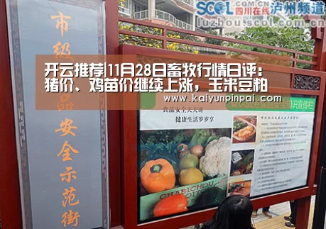 开云热点