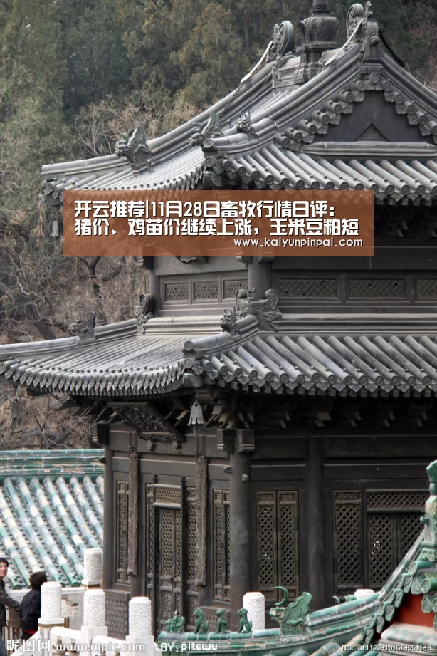 开云推荐
