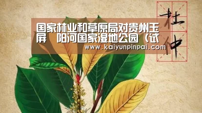 开云推荐