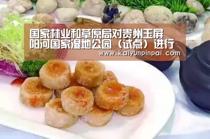 开云推荐