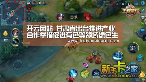 开云网站