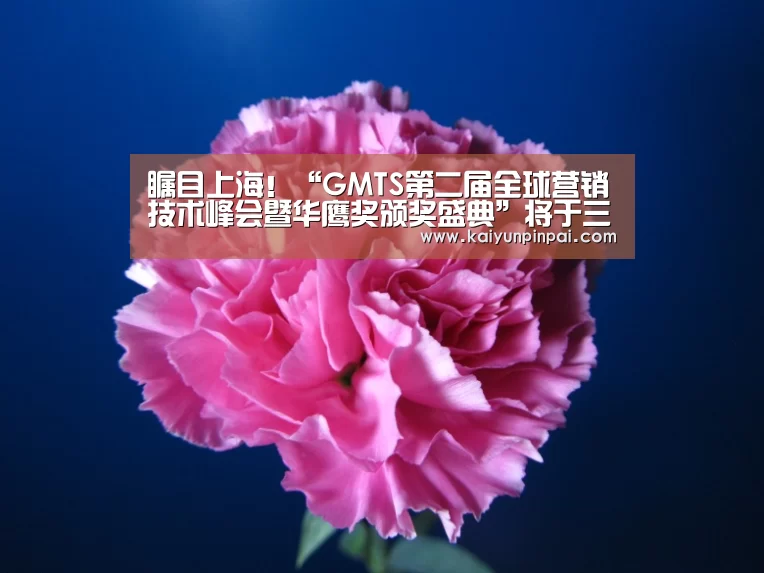 开云热点