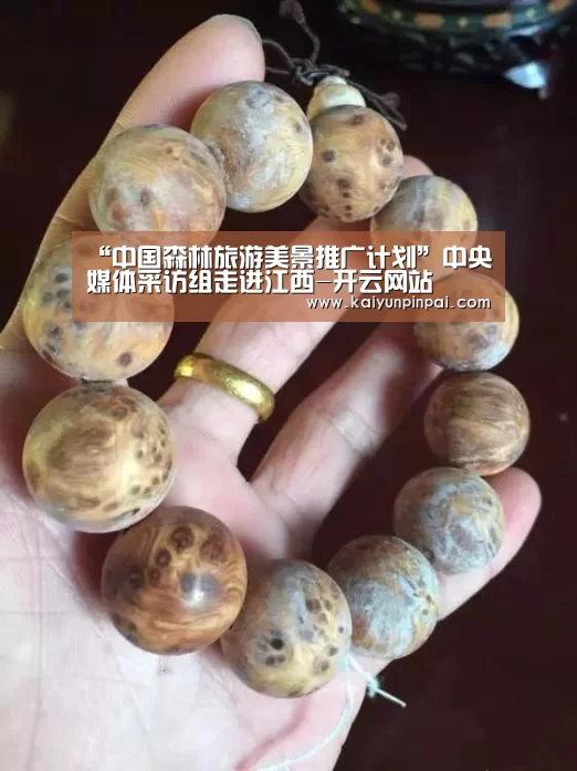 开云热点