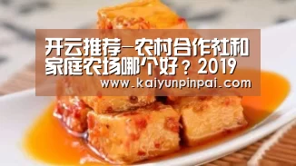开云推荐-农村合作社和家庭农场哪个好?2019年农村合作社最新补贴政策解读(图4) 开云热点