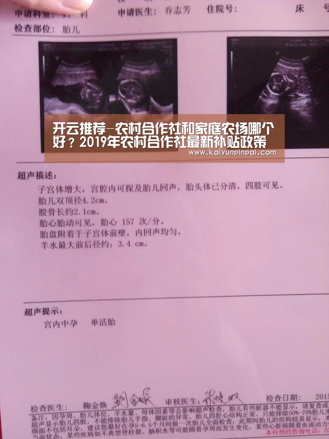 开云推荐-农村合作社和家庭农场哪个好?2019年农村合作社最新补贴政策解读(图2) 开云热点
