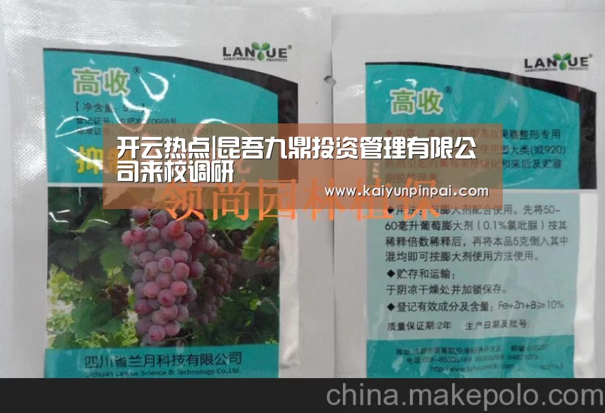 开云热点|昆吾九鼎投资管理有限公司来校调研(图2) 开云网站