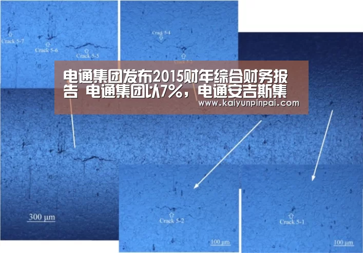 电通集团发布2015财年综合财务报告 电通集团以7%,电通安吉斯集团以9.4%的有机毛利润增长超越同业:开云品牌(图1) 开云品牌