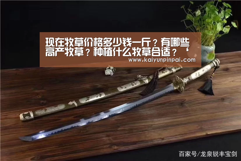 开云推荐