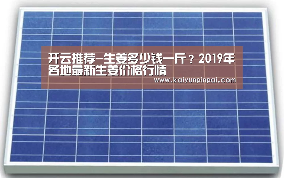 开云推荐-生姜多少钱一斤?2019年各地最新生姜价格行情(图1) 开云网站