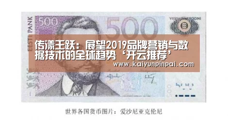 传漾王跃:展望2019品牌营销与数据技术的全球趋势‘开云推荐’(图2) 开云网站