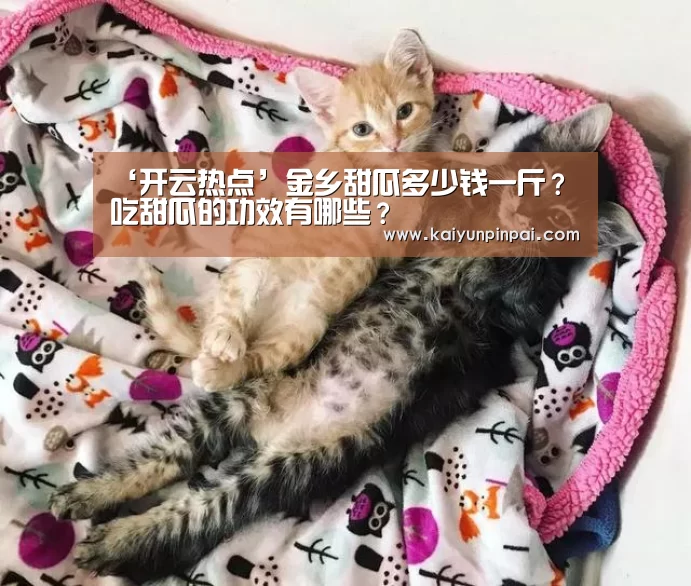 开云推荐