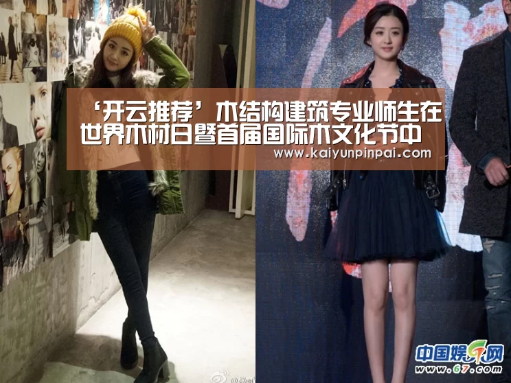 ‘开云推荐’木结构建筑专业师生在世界木材日暨首届国际木文化节中获奖(图3) 开云推荐